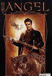 Angel: After the Fall (2007 series) #18 B