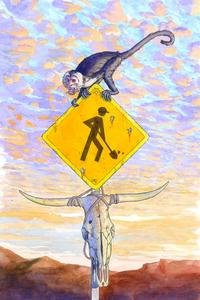 Y: The Last Man #22