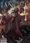 Angel: After the Fall (2007 series) #25 A