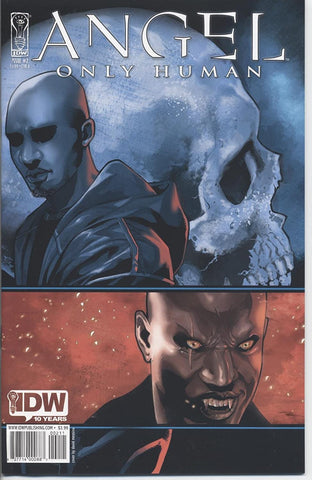 Angel Only Human Issue #2 Cover A by IDW Publishing
